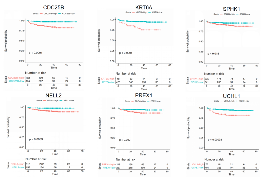 ������ʱ - �������ǲ�!